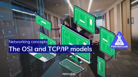 Networking Basics for Pentesters: A Beginner's Guide