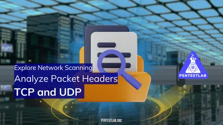 Learn Packet Analysis & Network Scanning