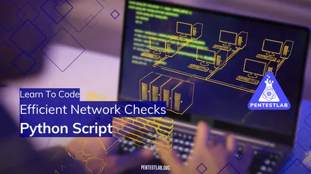 Learn Python Scripting for Network Checks